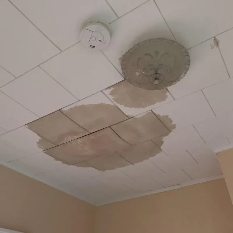 Ceiling Water Damage Repair in Parsons, KS