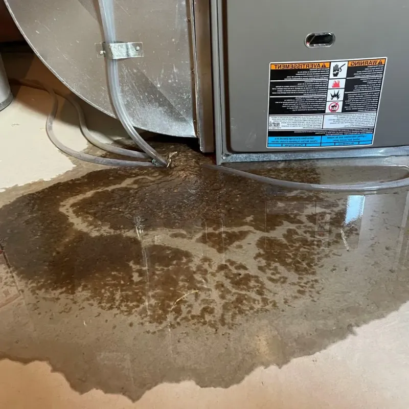 Pipe Burst and Leak Restoration in Parsons, KS