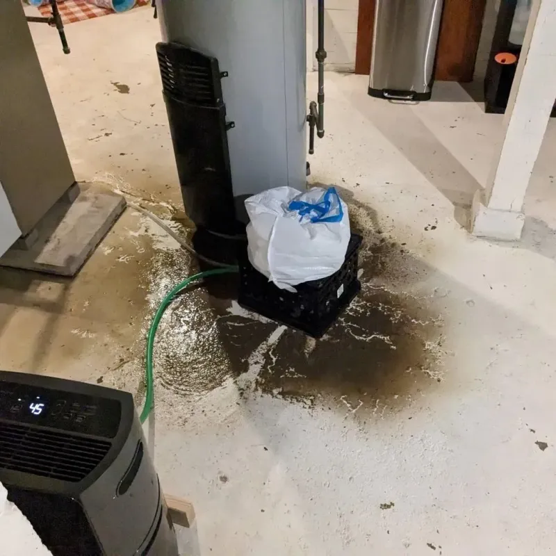 Sewage Backup Cleanup Service in Parsons, KS